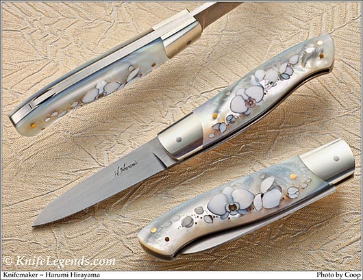 Harumi Hirayama Custom Knife