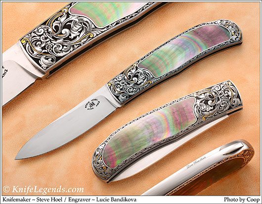Steve Hoel custom knife