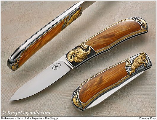 Steve Hoel custom knife