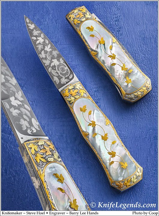 Steve Hoel custom knife