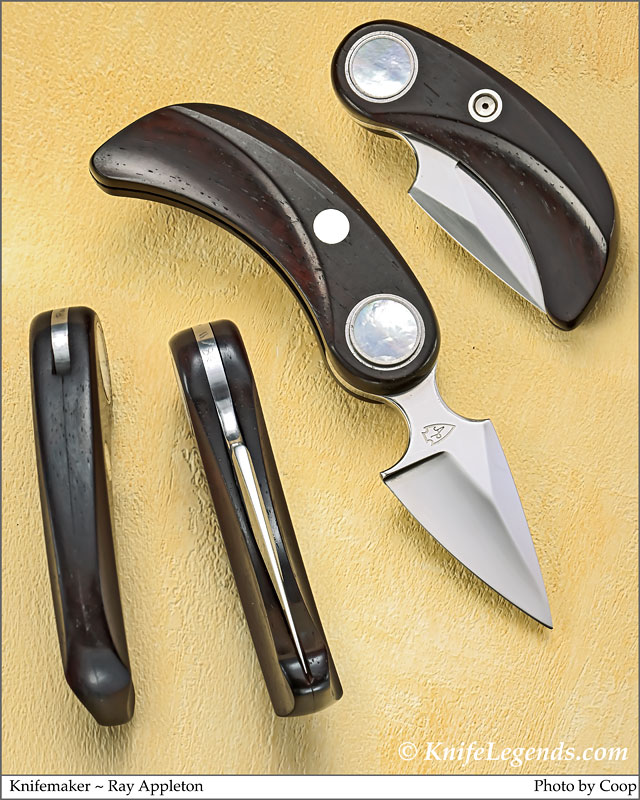 Ray Appleton custom knife