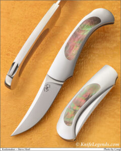 Steve Hoel custom knife