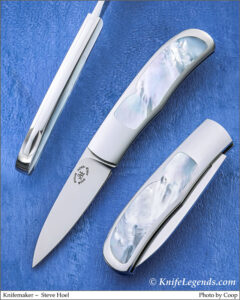 Steve Hoel custom knife
