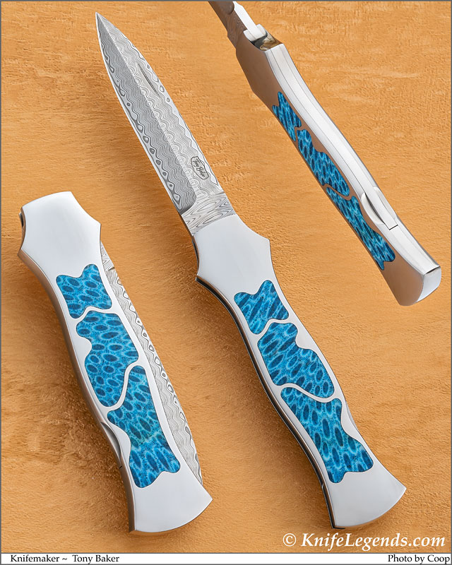 Tony Baker custom knife